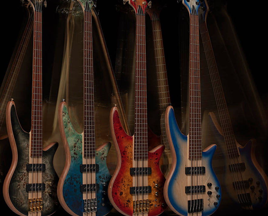 Pro Series Spectra Bass